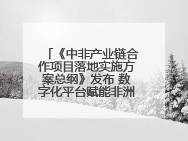 《中非产业链合作项目落地实施方案总纲》发布 数字化平台赋能非洲发展驶入快车道