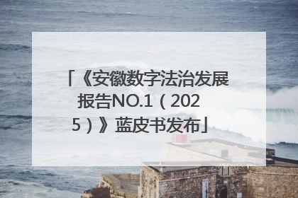 《安徽数字法治发展报告NO.1（2025）》蓝皮书发布