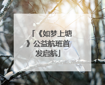 《如梦上塘》公益航班首发启航
