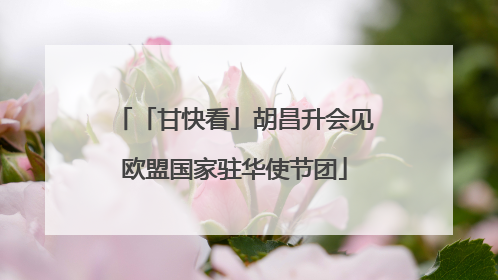 「甘快看」胡昌升会见欧盟国家驻华使节团