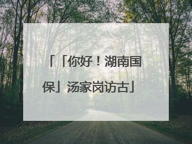 「你好！湖南国保」汤家岗访古