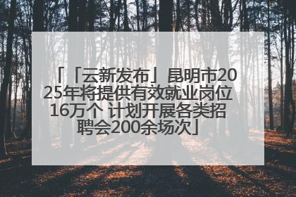 「云新发布」昆明市2025年将提供有效就业岗位16万个 计划开展各类招聘会200余场次