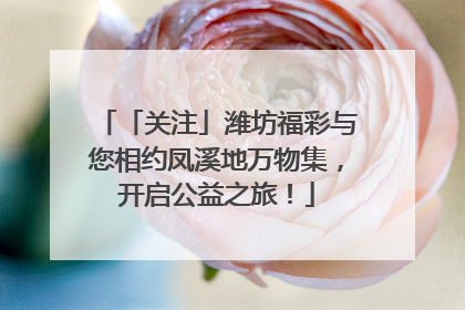 「关注」潍坊福彩与您相约凤溪地万物集，开启公益之旅！
