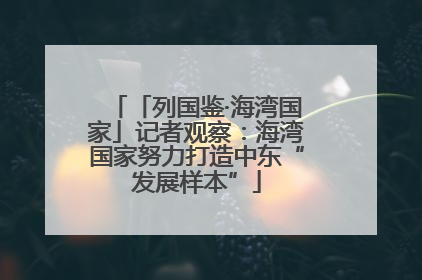 「列国鉴·海湾国家」记者观察：海湾国家努力打造中东“发展样本”