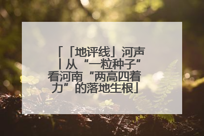 「地评线」河声丨从“一粒种子”看河南“两高四着力”的落地生根