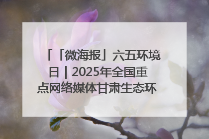 「微海报」六五环境日｜2025年全国重点网络媒体甘肃生态环保行走进兰州新区