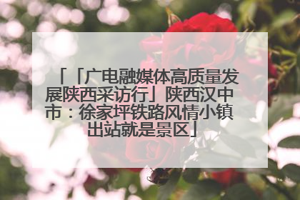 「广电融媒体高质量发展陕西采访行」陕西汉中市：徐家坪铁路风情小镇 出站就是景区