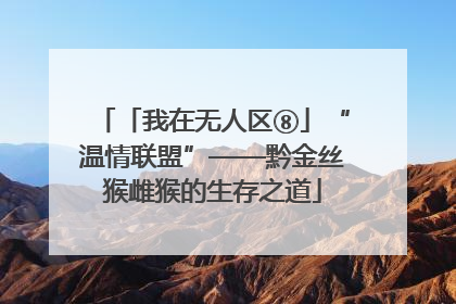 「我在无人区⑧」“温情联盟”——黔金丝猴雌猴的生存之道