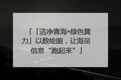 「洁净青海•绿色算力」以数绘图，让海量信息“跑起来”