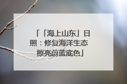 「海上山东」日照：修复海洋生态 擦亮蔚蓝底色