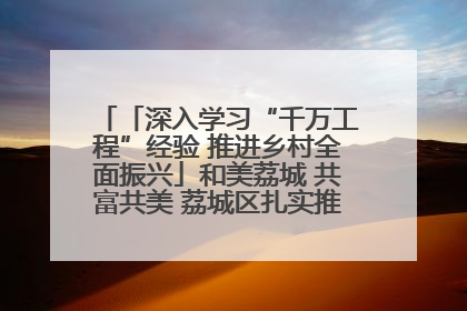 「深入学习“千万工程”经验 推进乡村全面振兴」和美荔城 共富共美 荔城区扎实推进乡村振兴工作