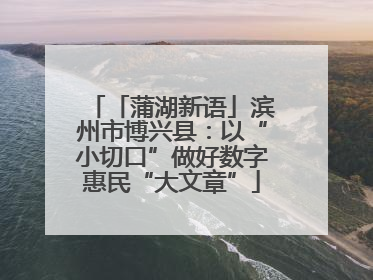 「蒲湖新语」滨州市博兴县：以“小切口”做好数字惠民“大文章”
