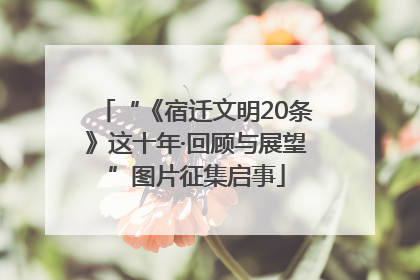 “《宿迁文明20条》这十年·回顾与展望”图片征集启事
