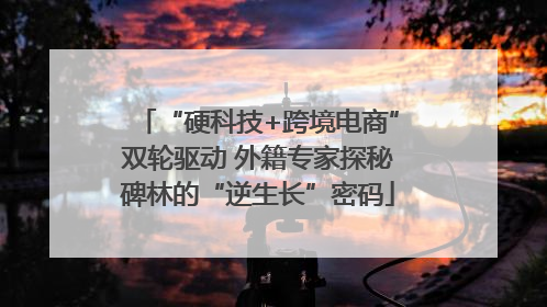 “硬科技+跨境电商”双轮驱动 外籍专家探秘碑林的“逆生长”密码