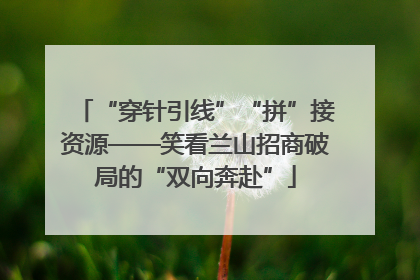 “穿针引线”“拼”接资源——笑看兰山招商破局的“双向奔赴”