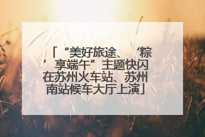 “美好旅途、‘粽’享端午”主题快闪在苏州火车站、苏州南站候车大厅上演