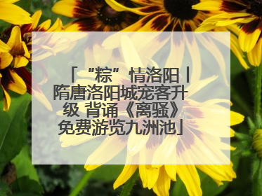“粽”情洛阳丨隋唐洛阳城宠客升级 背诵《离骚》免费游览九洲池