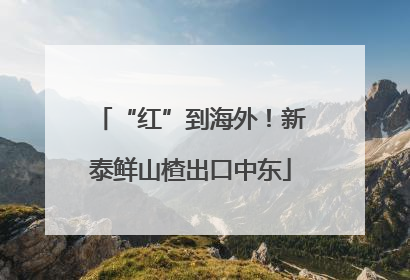 “红”到海外！新泰鲜山楂出口中东