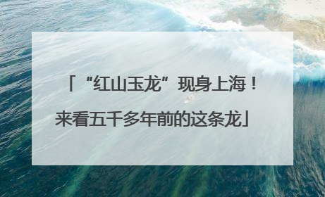 “红山玉龙”现身上海！来看五千多年前的这条龙