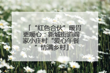 “红色合伙”暖胃更暖心：新城街道阎家小庄村“爱心午餐”情满乡村