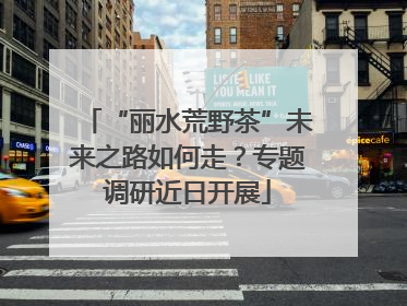 “丽水荒野茶”未来之路如何走？专题调研近日开展