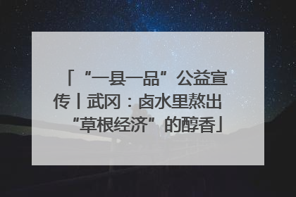 “一县一品”公益宣传丨武冈：卤水里熬出“草根经济”的醇香