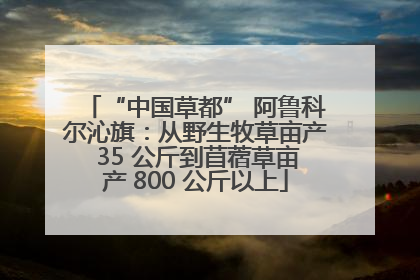 “中国草都” 阿鲁科尔沁旗：从野生牧草亩产 35 公斤到苜蓿草亩产 800 公斤以上
