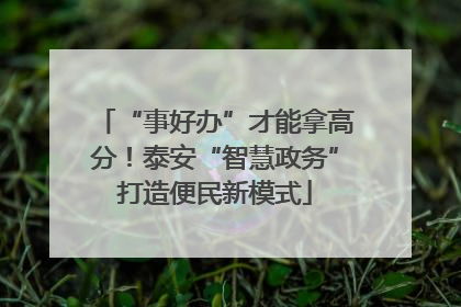 “事好办”才能拿高分！泰安“智慧政务”打造便民新模式