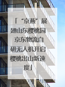 “京燕”展翅山东樱桃园 京东物流自研无人机开启樱桃出山新速度