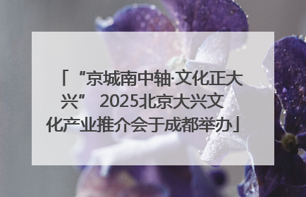 “京城南中轴·文化正大兴” 2025北京大兴文化产业推介会于成都举办