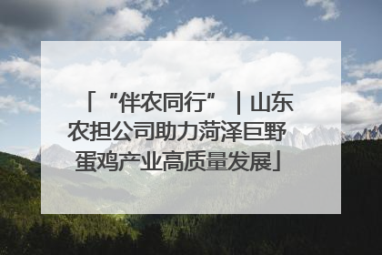 “伴农同行”｜山东农担公司助力菏泽巨野蛋鸡产业高质量发展