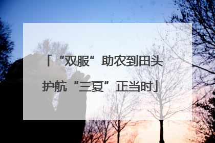 “双服”助农到田头 护航“三夏”正当时