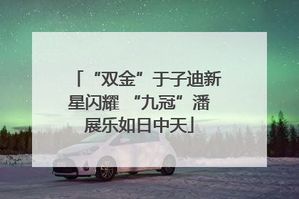 “双金”于子迪新星闪耀 “九冠”潘展乐如日中天