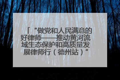 “做党和人民满意的好律师——推动黄河流域生态保护和高质量发展律师行（德州站）”活动成功举办