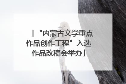 “内蒙古文学重点作品创作工程”入选作品改稿会举办