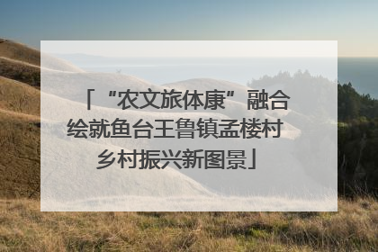 “农文旅体康”融合绘就鱼台王鲁镇孟楼村乡村振兴新图景