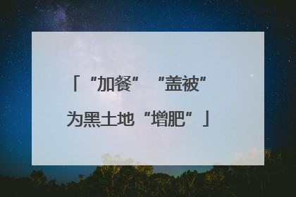 “加餐”“盖被” 为黑土地“增肥”
