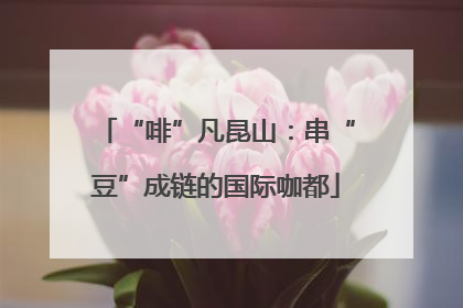 “啡”凡昆山：串“豆”成链的国际咖都