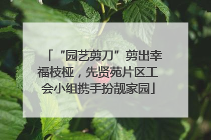 “园艺剪刀”剪出幸福枝桠，先贤苑片区工会小组携手扮靓家园