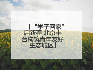 “学子回家”启新程 北京丰台构筑青年友好生态城区