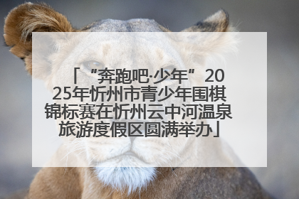 “奔跑吧·少年”2025年忻州市青少年围棋锦标赛在忻州云中河温泉旅游度假区圆满举办