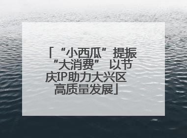 “小西瓜”提振“大消费” 以节庆IP助力大兴区高质量发展