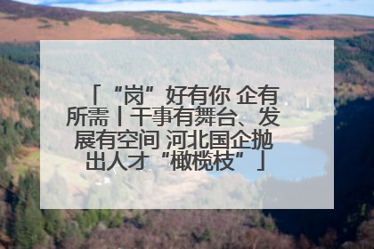 “岗”好有你 企有所需丨干事有舞台、发展有空间 河北国企抛出人才“橄榄枝”
