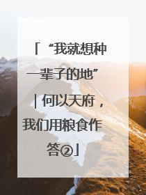 “我就想种一辈子的地”｜何以天府，我们用粮食作答②