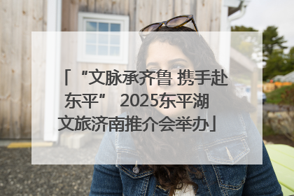 “文脉承齐鲁 携手赴东平” 2025东平湖文旅济南推介会举办