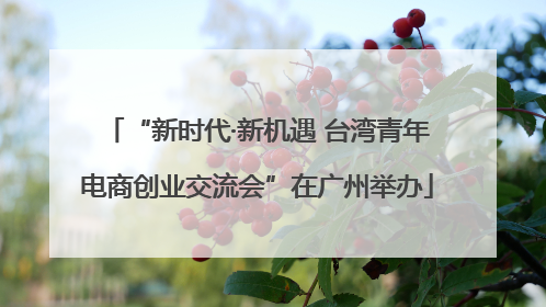 “新时代·新机遇 台湾青年电商创业交流会”在广州举办