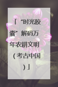“时光胶囊”解码万年农耕文明（考古中国）