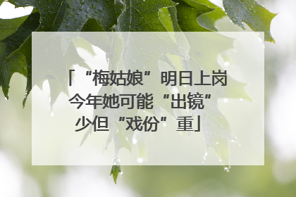 “梅姑娘”明日上岗 今年她可能“出镜”少但“戏份”重