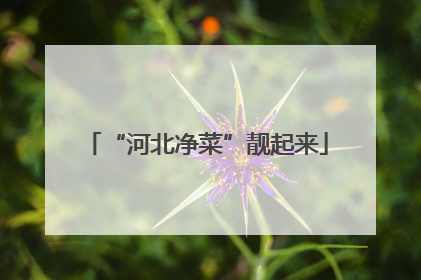 “河北净菜”靓起来