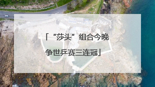 “莎头”组合今晚争世乒赛三连冠